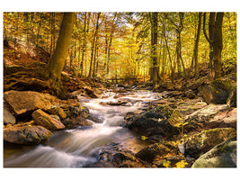 4-piece-canvas-print-real-nature-beauty