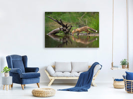 panoramic-canvas-print-red-fox-ii