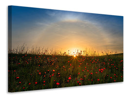 panoramic-3-piece-canvas-print-red-poppies-and-sunrise