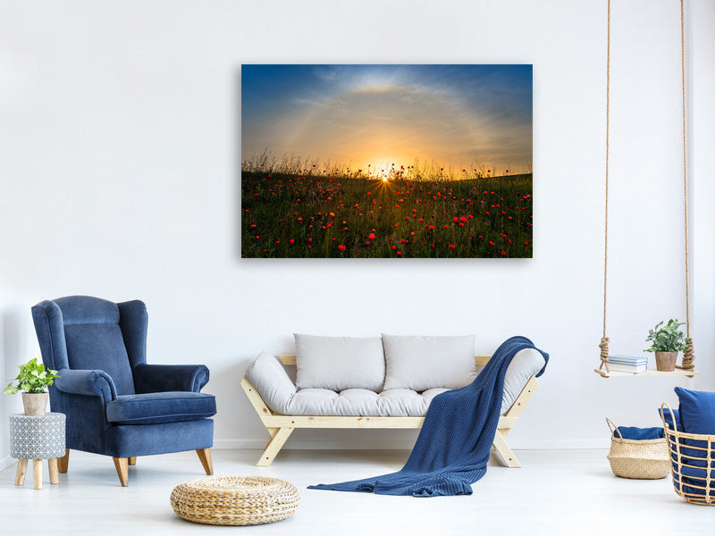 panoramic-canvas-print-red-poppies-and-sunrise