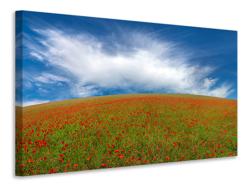 5-piece-canvas-print-red-poppies
