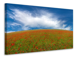 panoramic-canvas-print-red-poppies