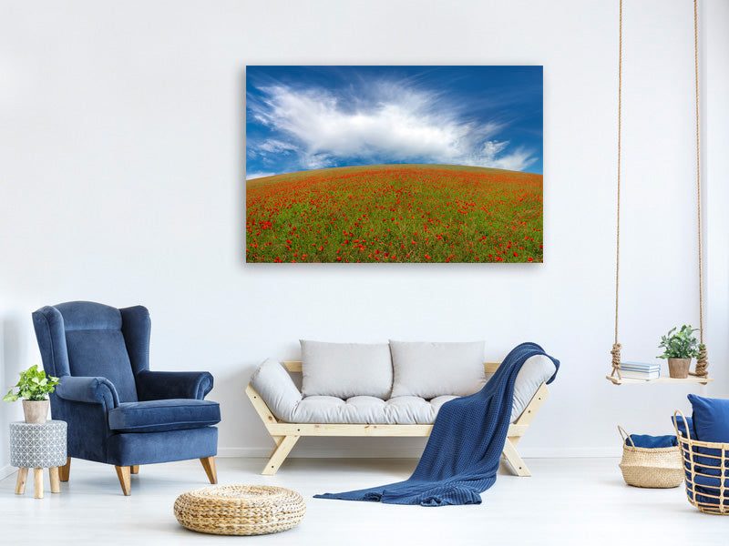 panoramic-3-piece-canvas-print-red-poppies