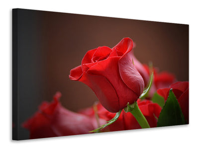 3-piece-canvas-print-red-rose-in-xl