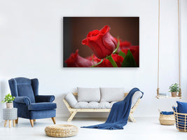 3-piece-canvas-print-red-rose-in-xl
