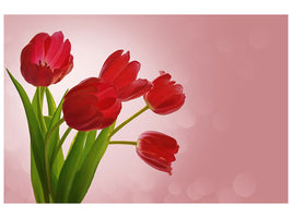 5-piece-canvas-print-red-tulips-bouquet
