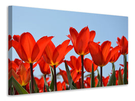 modern-4-piece-canvas-print-red-tulips-xl