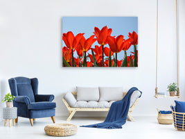 modern-3-piece-canvas-print-red-tulips-xl