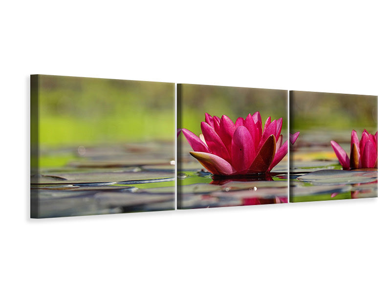 3-piece-canvas-print-red-water-lily-duo