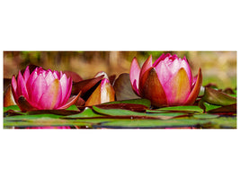 panoramic-3-piece-canvas-print-red-water-lily-trio