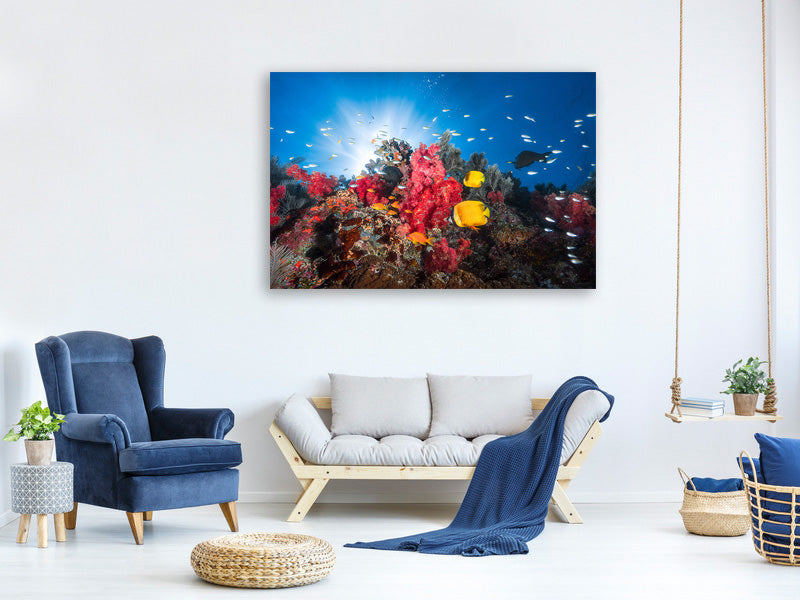 modern-4-piece-canvas-print-reef-life