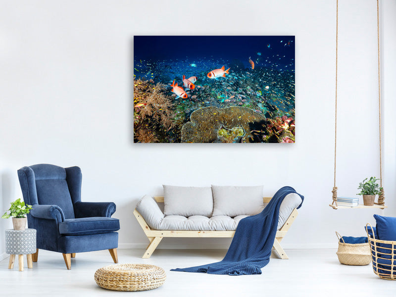 panoramic-canvas-print-reef-lifeii