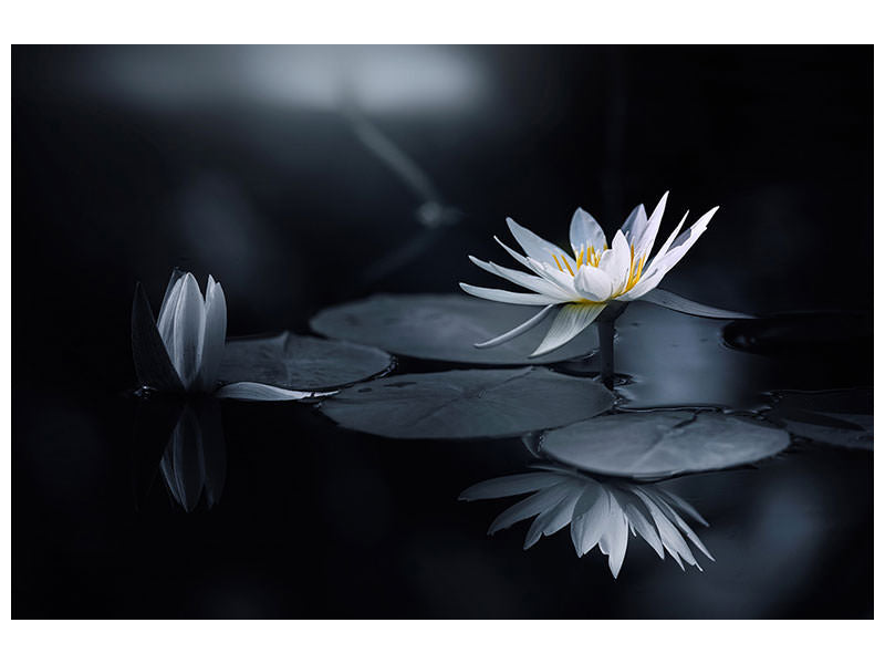 panoramic-canvas-print-reflection-iv