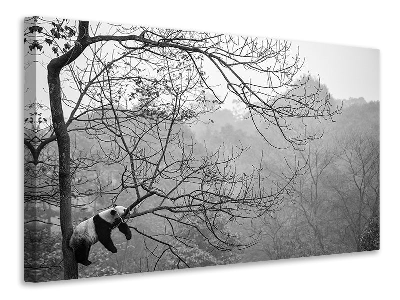 5-piece-canvas-print-relax
