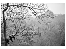 3-piece-canvas-print-relax