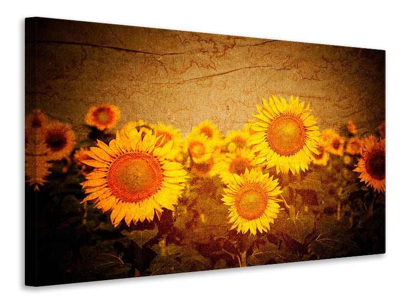 4-piece-canvas-print-retro-sunflower