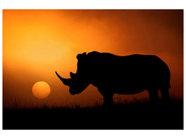 3-piece-canvas-print-rhino-sunrise