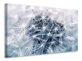 3-piece-canvas-print-ripe-dandelion-close-up