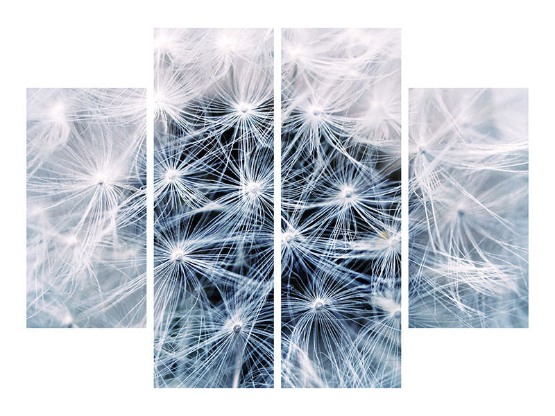 modern-4-piece-canvas-print-ripe-dandelion-close-up
