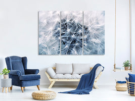 modern-4-piece-canvas-print-ripe-dandelion-close-up