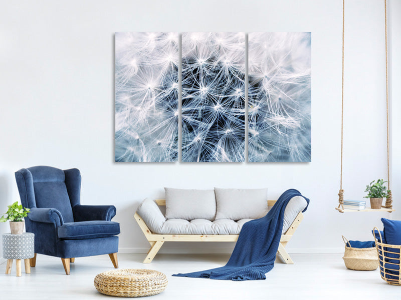modern-3-piece-canvas-print-ripe-dandelion-close-up