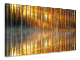 5-piece-canvas-print-romantic-mood-in-the-forest