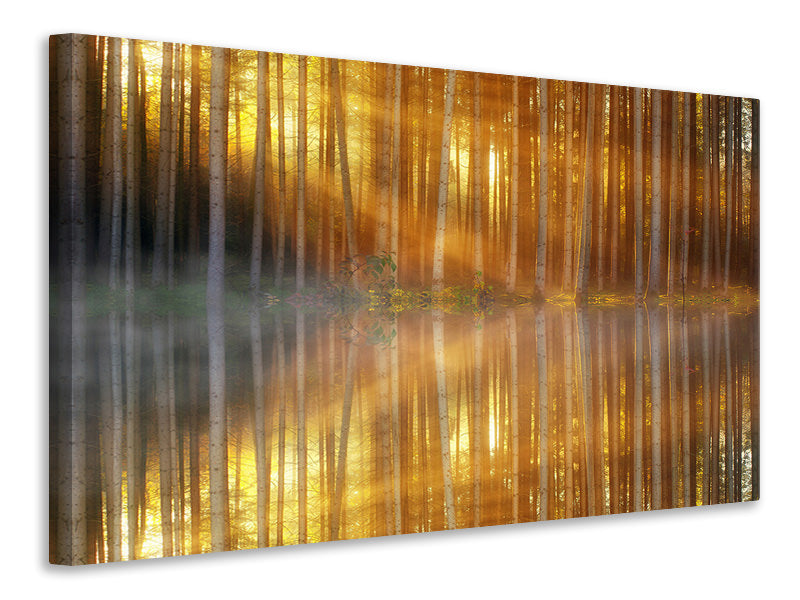 5-piece-canvas-print-romantic-mood-in-the-forest