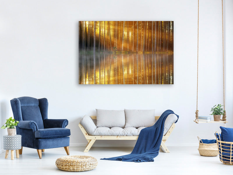 5-piece-canvas-print-romantic-mood-in-the-forest