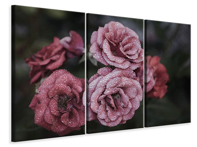 5-piece-canvas-print-romantic-roses