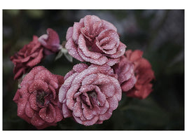 5-piece-canvas-print-romantic-roses