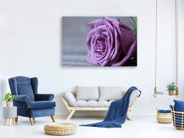 panoramic-canvas-print-rose-in-purple-xxl