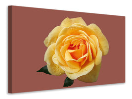 3-piece-canvas-print-rose-in-yellow-xxl