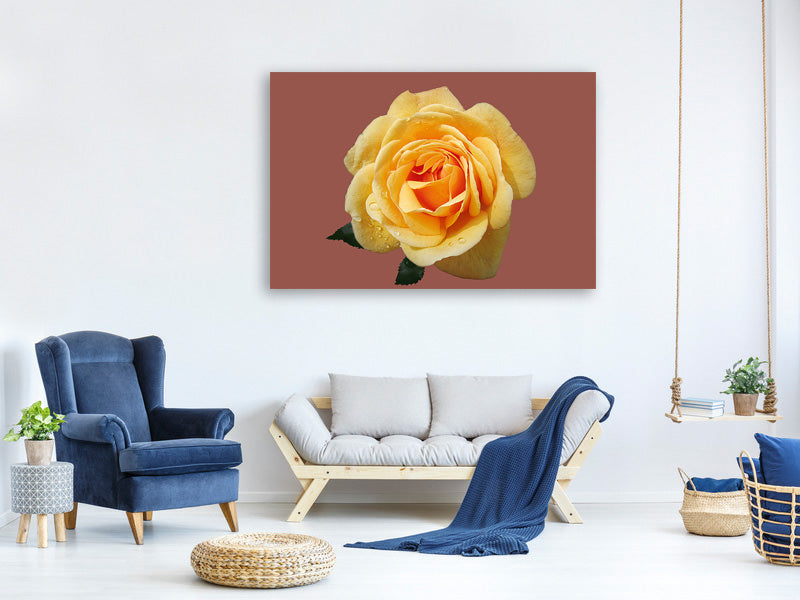 3-piece-canvas-print-rose-in-yellow-xxl