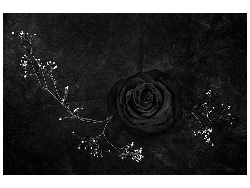 panoramic-3-piece-canvas-print-rose-noire