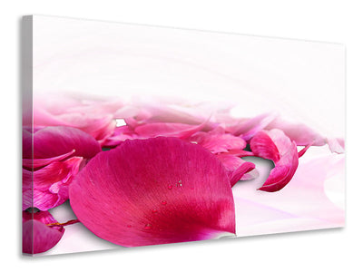 5-piece-canvas-print-rose-petals-in-pink-iii