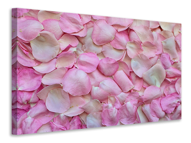 panoramic-3-piece-canvas-print-rose-petals-in-pink-ii