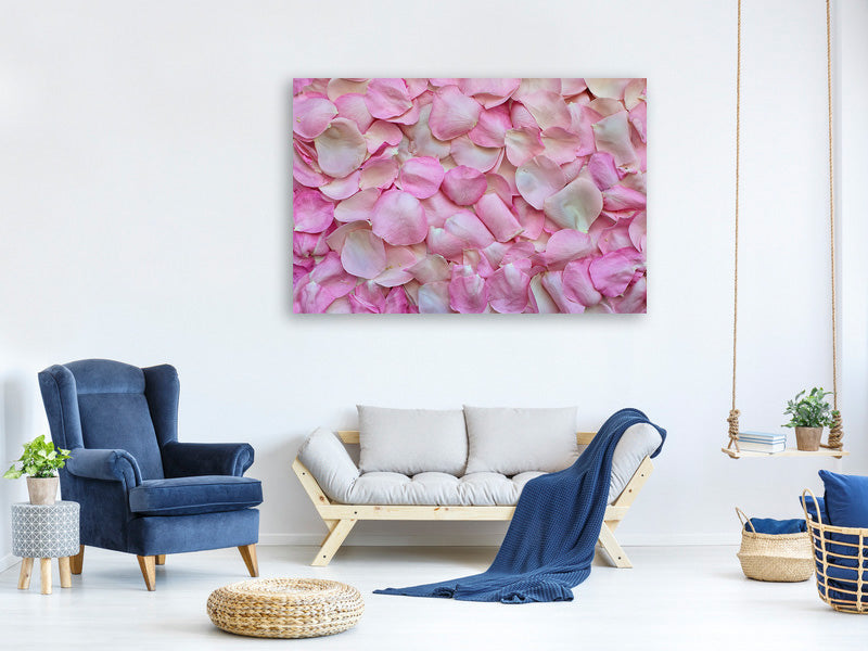 panoramic-3-piece-canvas-print-rose-petals-in-pink-ii