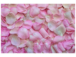 4-piece-canvas-print-rose-petals-in-pink-ii