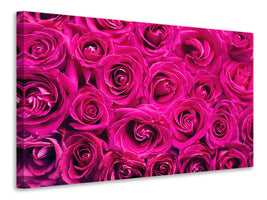 5-piece-canvas-print-rose-petals-in-pink