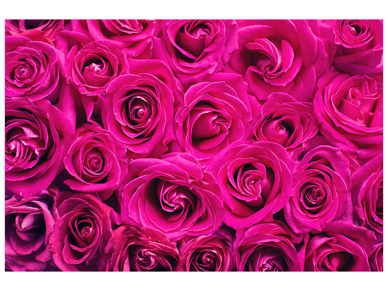 4-piece-canvas-print-rose-petals-in-pink