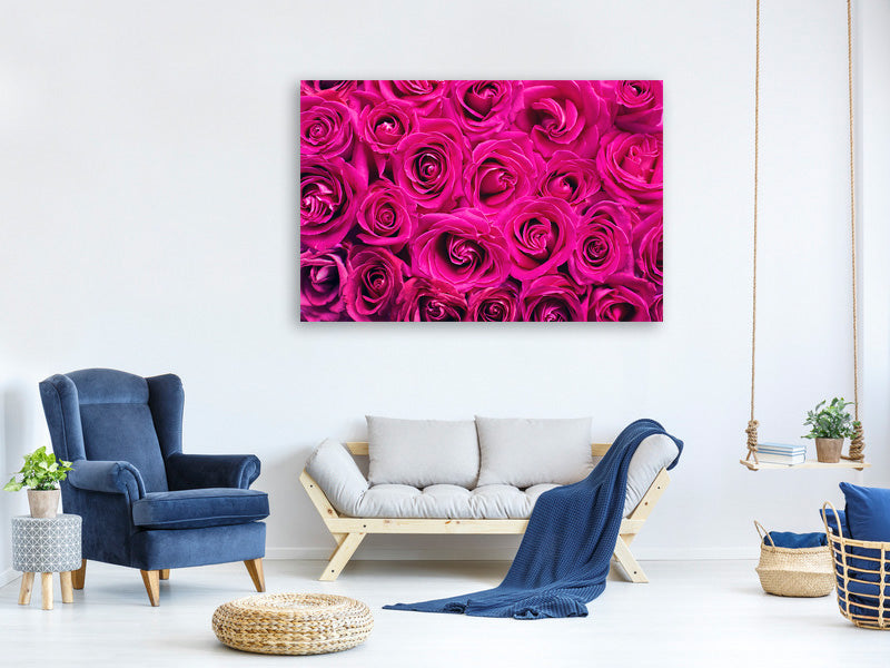 5-piece-canvas-print-rose-petals-in-pink