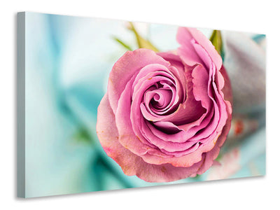 modern-4-piece-canvas-print-roseblossom-in-pink