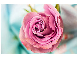 modern-3-piece-canvas-print-roseblossom-in-pink