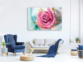4-piece-canvas-print-roseblossom-in-pink