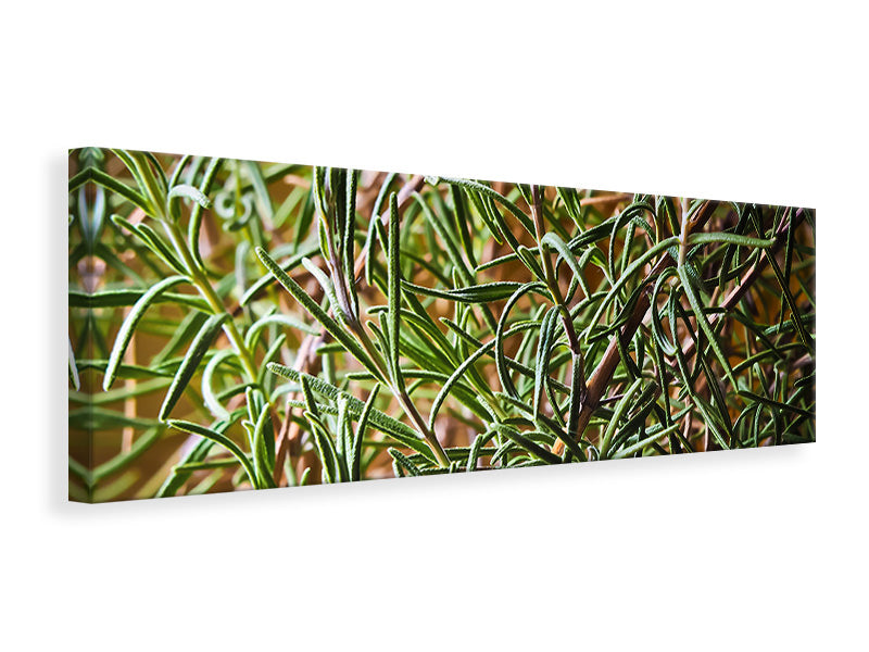 panoramic-3-piece-canvas-print-rosemary-xxl