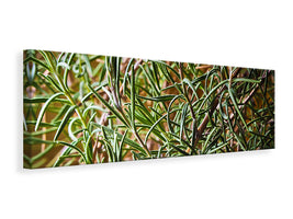 modern-4-piece-canvas-print-rosemary-xxl