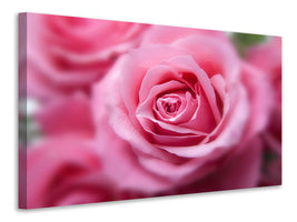 panoramic-3-piece-canvas-print-roses-macro