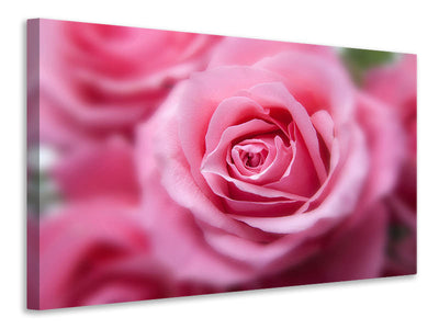 panoramic-3-piece-canvas-print-roses-macro