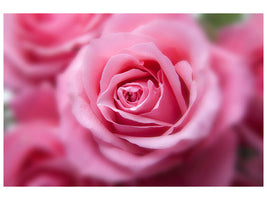 4-piece-canvas-print-roses-macro