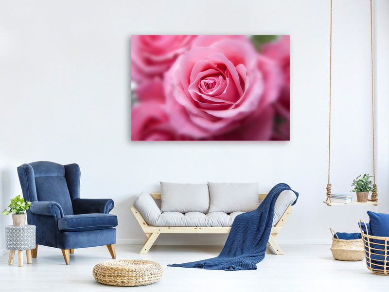 panoramic-canvas-print-roses-macro
